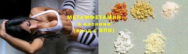 сатива Няндома