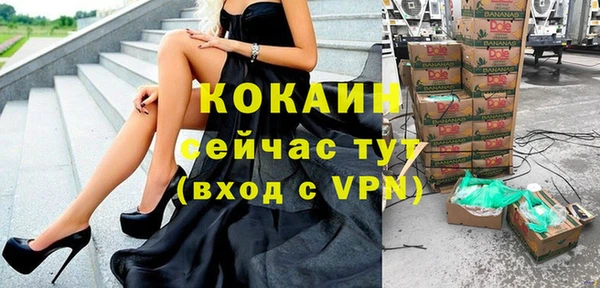 кокс Алексин