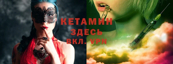 сатива Няндома