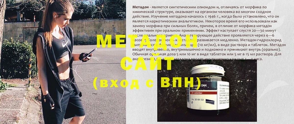 сатива Няндома