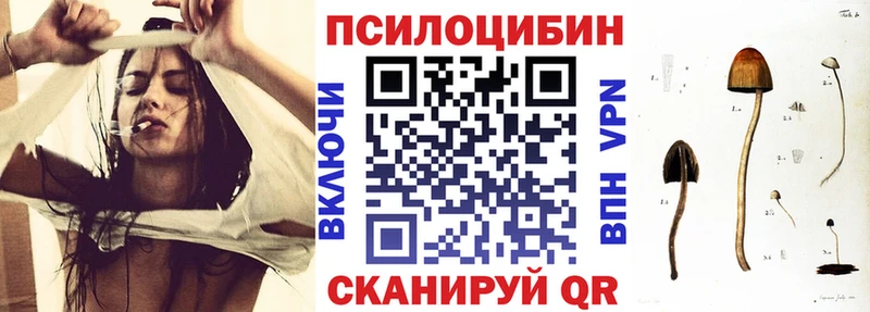 Псилоцибиновые грибы Psilocybe  наркотики  Сосновка 
